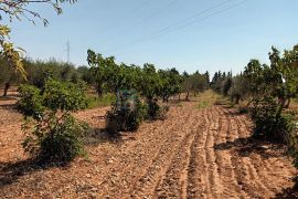 PRODAJA kuća sa bazenom Nadin, 339 m2, imanje 45922 m2, Benkovac, بيت