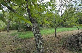 ISTRA, CEROVLJE - Zemljište s ruševnim objektom, Cerovlje, Arazi