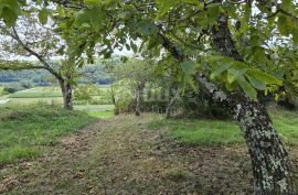 ISTRA, CEROVLJE - Zemljište s ruševnim objektom, Cerovlje, Land