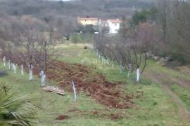 ISTRA, LABIN - Imanje na osami sa samostojećom kamenom kućom za renovaciju, Labin, Σπίτι