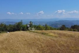 IZVRSNA PARCELA S GRAĐEVINSKOM DOZVOLOM I PREKRASNIM POGLEDOM, Pazin - Okolica, Terrain