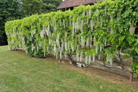 Romantična kuća u bajkovitom okruženju, Jalžabet, Casa