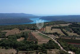 Barban, okolica, građevinsko zemljište u blizini mora, Barban, Terreno