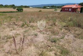 Barban, okolica, građevinsko zemljište u blizini mora, Barban, Terreno