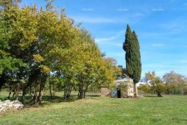 Građevinsko zemljište Građevinsko zemljište, Žminj. 60 EURA M2., Žminj, Land