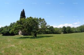 Građevinsko zemljište Građevinsko zemljište, Žminj. 60 EURA M2., Žminj, Land