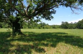 Građevinsko zemljište Građevinsko zemljište, Žminj. 60 EURA M2., Žminj, Land