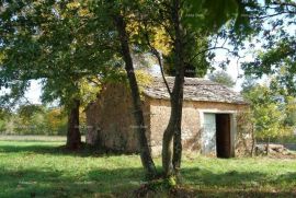 Građevinsko zemljište Građevinsko zemljište, Žminj. 60 EURA M2., Žminj, Land