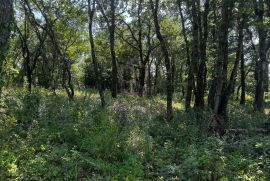 Četiri građevinska zemljišta u Burićima, Kanfanar, Kanfanar, Land