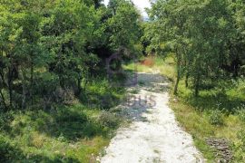 Četiri građevinska zemljišta u Burićima, Kanfanar, Kanfanar, Terrain