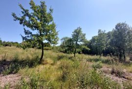 ISTRA, LABIN - Građevinsko zemljište uz netaknutu prirodu, Labin, Terra