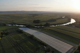 Plantaza Borovnica, Pančevo, Tierra