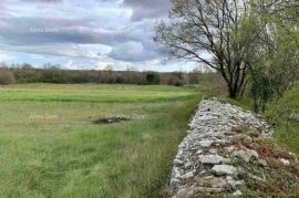 Građevinsko zemljište Prodaja građevinskog zemljišta, Svetvinčenat, Svetvinčenat, Terra