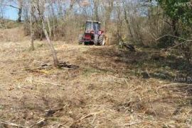 Građevinsko zemljište Prodaja građevinskog zemljišta. Pazin, Trviž, Pazin, Terreno