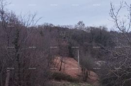 Građevinsko zemljište Prodaja građevinskog zemljišta. Pazin, Trviž, Pazin, Land