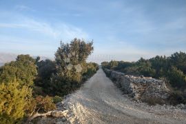 POLJOPRIVREDNO ZEMLJIŠTE, OTOK BRAČ, Pučišća, Terrain