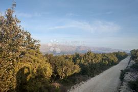 POLJOPRIVREDNO ZEMLJIŠTE, OTOK BRAČ, Pučišća, Terrain