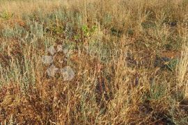 Građevinsko zemljište s otvorenim pogledom na more, Vodnjan, Tierra