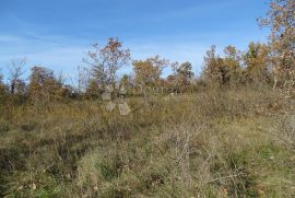 Grožnjan, građevinski teren na prodaju, Grožnjan, Terrain