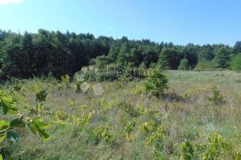 Veliko poljoprivredno zemljište u srcu Istre, Gračišće, Tierra