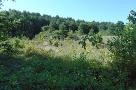 Veliko poljoprivredno zemljište u srcu Istre, Gračišće, Terreno