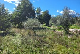 Građevinsko i poljoprivredno zemljište na mirnoj lokaciji, okolica Buzeta, Buzet, Terreno