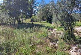 Građevinsko i poljoprivredno zemljište na mirnoj lokaciji, okolica Buzeta, Buzet, Terrain