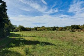 Poljoprivredno zemljište od 5292 m2, šira okolica Barbana, Barban, أرض