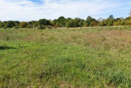 Poljoprivredno zemljište od 5292 m2, šira okolica Barbana, Barban, Земля