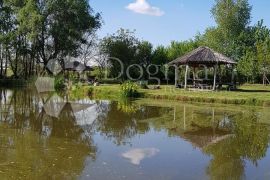 Ribnjak sa kućom,vocnjakom i placom 38 880 m²,mjesto Šag,okolica Osijeka, Valpovo, Haus