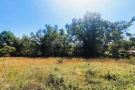 ISTRA, GROŽNJAN - Građevinsko zemljište 1000m2 u mirnom naselju, Grožnjan, Terra