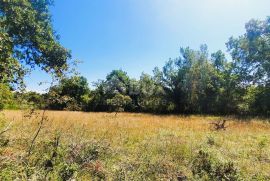 ISTRA, GROŽNJAN - Građevinsko zemljište 1000m2 u mirnom naselju, Grožnjan, Terra