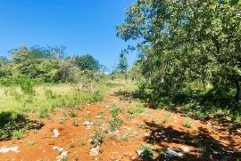 ISTRA, GROŽNJAN - Građevinsko zemljište 1000m2 u mirnom naselju, Grožnjan, Land