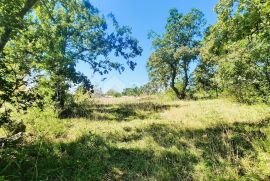 ISTRA, GROŽNJAN - Građevinsko zemljište 1000m2 u mirnom naselju, Grožnjan, Terrain