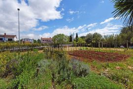 POREČ, kuća sa 3 stana, tavernom, vrtom i pogledom na more, Poreč, Haus