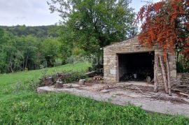 ISTRA, GRAČIŠĆE - Kameni objekti s prostranim zemljištem na osami, Gračišće, House