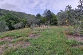 ISTRA, GRAČIŠĆE - Kompleks zemljišta s objektima i prekrasnim pogledom, Gračišće, Land