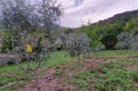 ISTRA, GRAČIŠĆE - Kompleks zemljišta s objektima i prekrasnim pogledom, Gračišće, Terrain