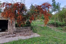 ISTRA, GRAČIŠĆE - Kompleks zemljišta s objektima i prekrasnim pogledom, Gračišće, Land