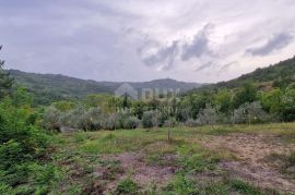 ISTRA, GRAČIŠĆE - Kompleks zemljišta s objektima i prekrasnim pogledom, Gračišće, Zemljište