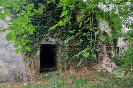 ISTRA, GRAČIŠĆE - Kompleks zemljišta s objektima i prekrasnim pogledom, Gračišće, Terrain