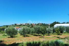 ISTRA, VIŽINADA -Prostrano građevinsko zemljište sa pogledom na MORE!, Vižinada, Tierra