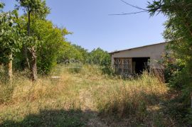 Poljoprivredno zemljište sa objektom, Šišan, Istra, Ližnjan, Land