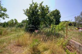 Poljoprivredno zemljište sa objektom, Šišan, Istra, Ližnjan, Γη