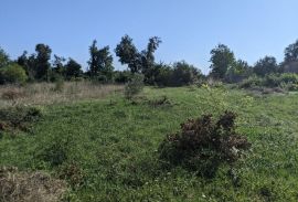 Marčana, građevinsko zemljište 536 m2, Marčana, Land