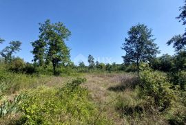 ISTRA, BARBAN - Građevinsko zemljište na rubu građevinske zone, Barban, Land