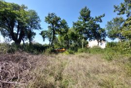 ISTRA, BARBAN - Građevinsko zemljište na rubu građevinske zone, Barban, Arazi