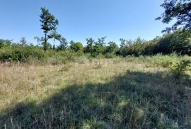 ISTRA, BARBAN - Građevinsko zemljište na rubu građevinske zone, Barban, Land