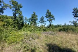 ISTRA, BARBAN - Građevinsko zemljište na rubu građevinske zone, Barban, Terreno