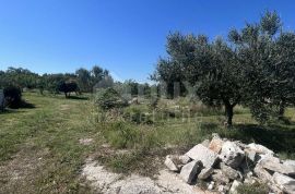 ISTRA, RAKALJ - Građevinsko zemljište u blizini mora, Marčana, Terrain